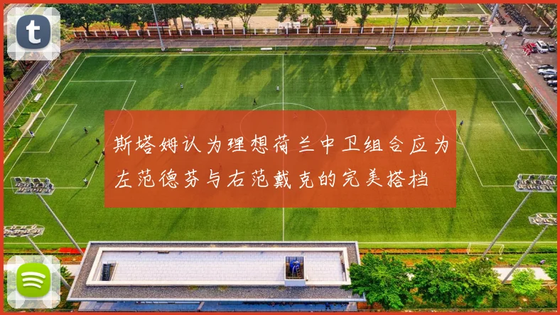 斯塔姆认为理想荷兰中卫组合应为左范德芬与右范戴克的完美搭档