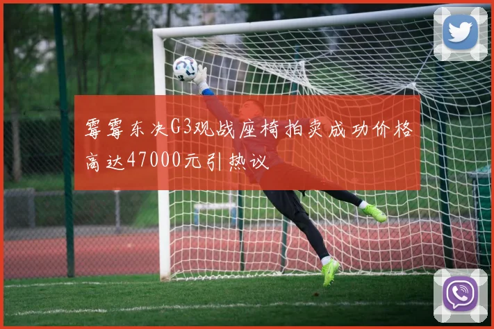霉霉东决G3观战座椅拍卖成功价格高达47000元引热议
